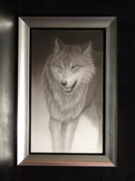 Wolf (1)